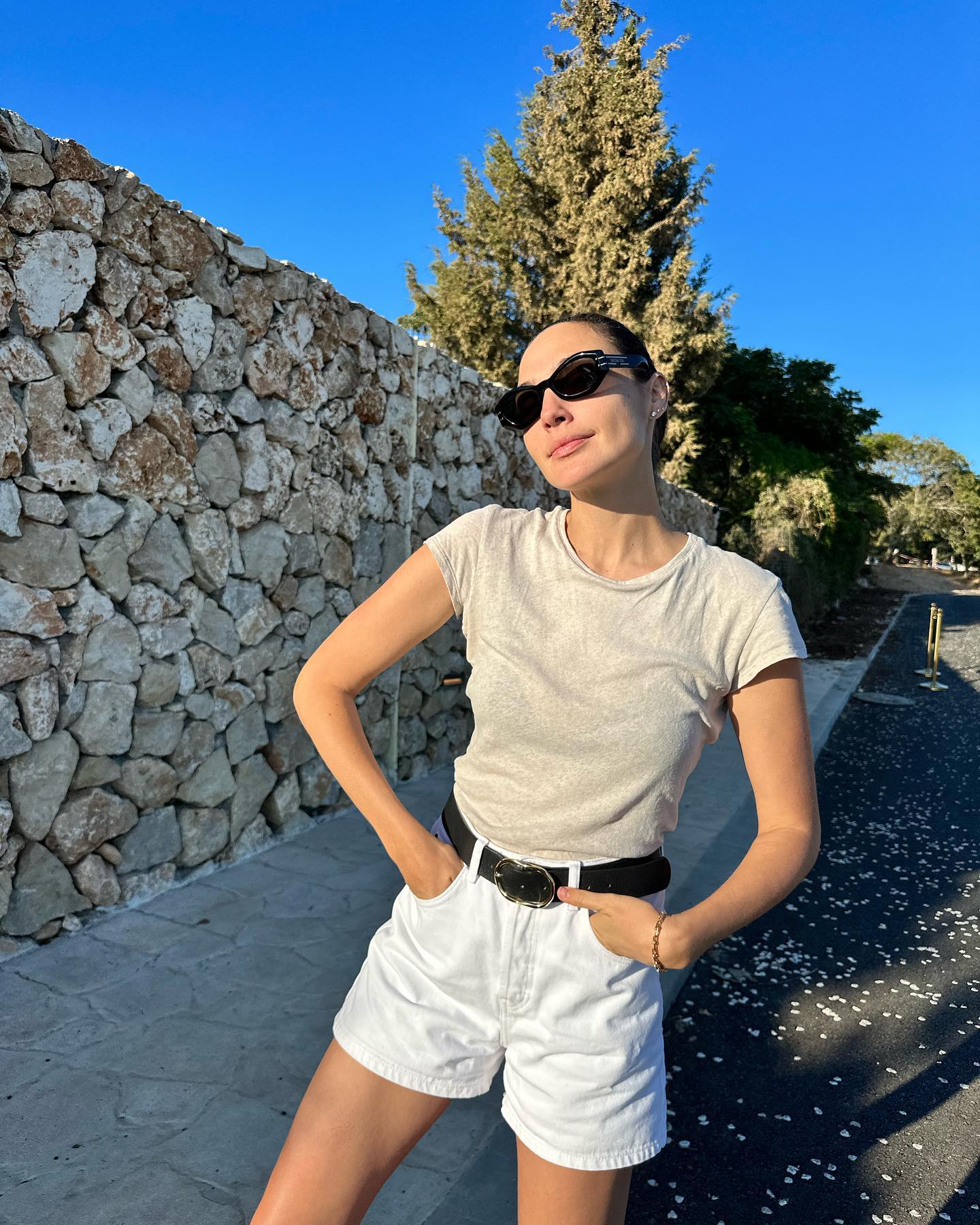 Gal Gadot ardent hot