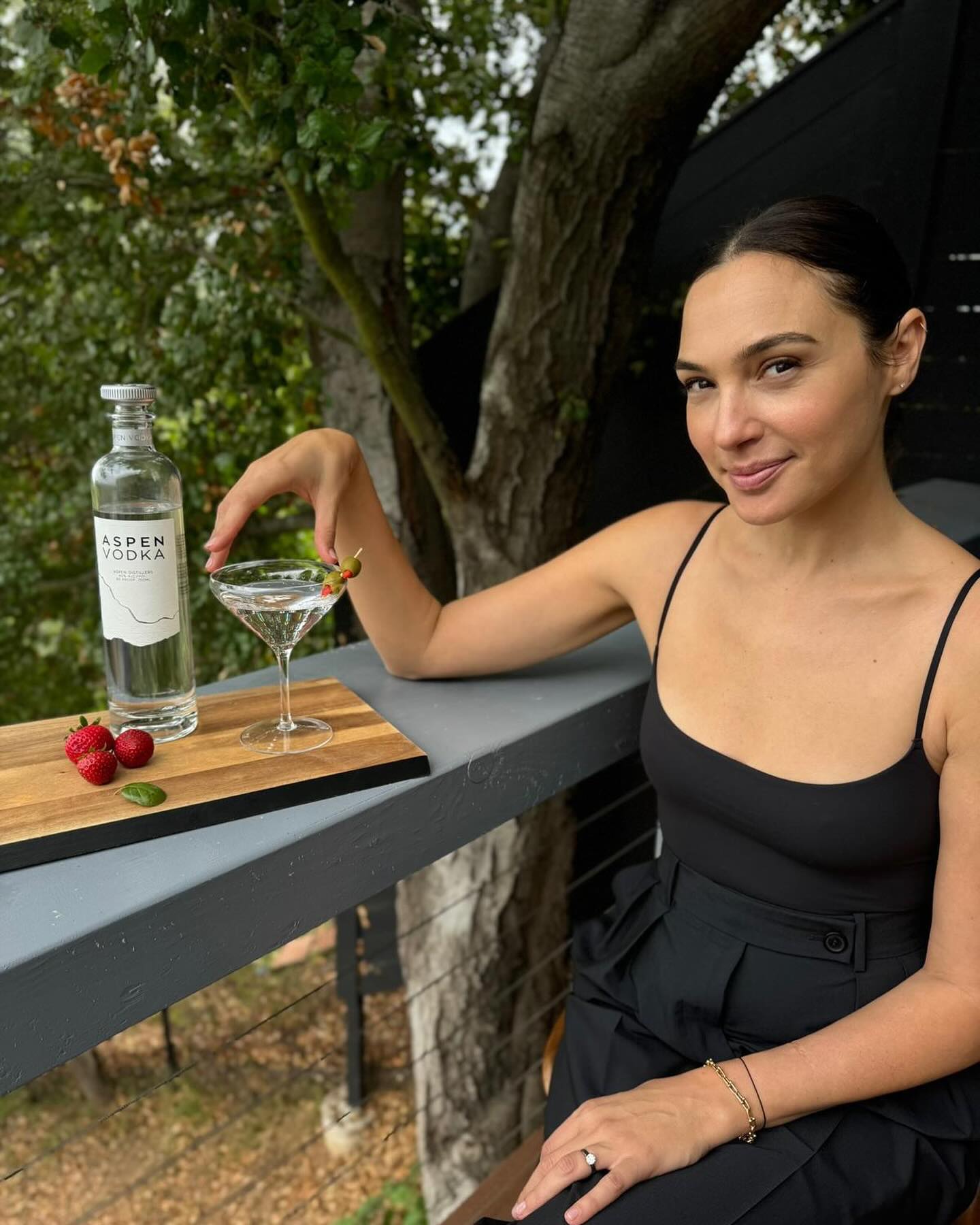 Gal Gadot modeling sex