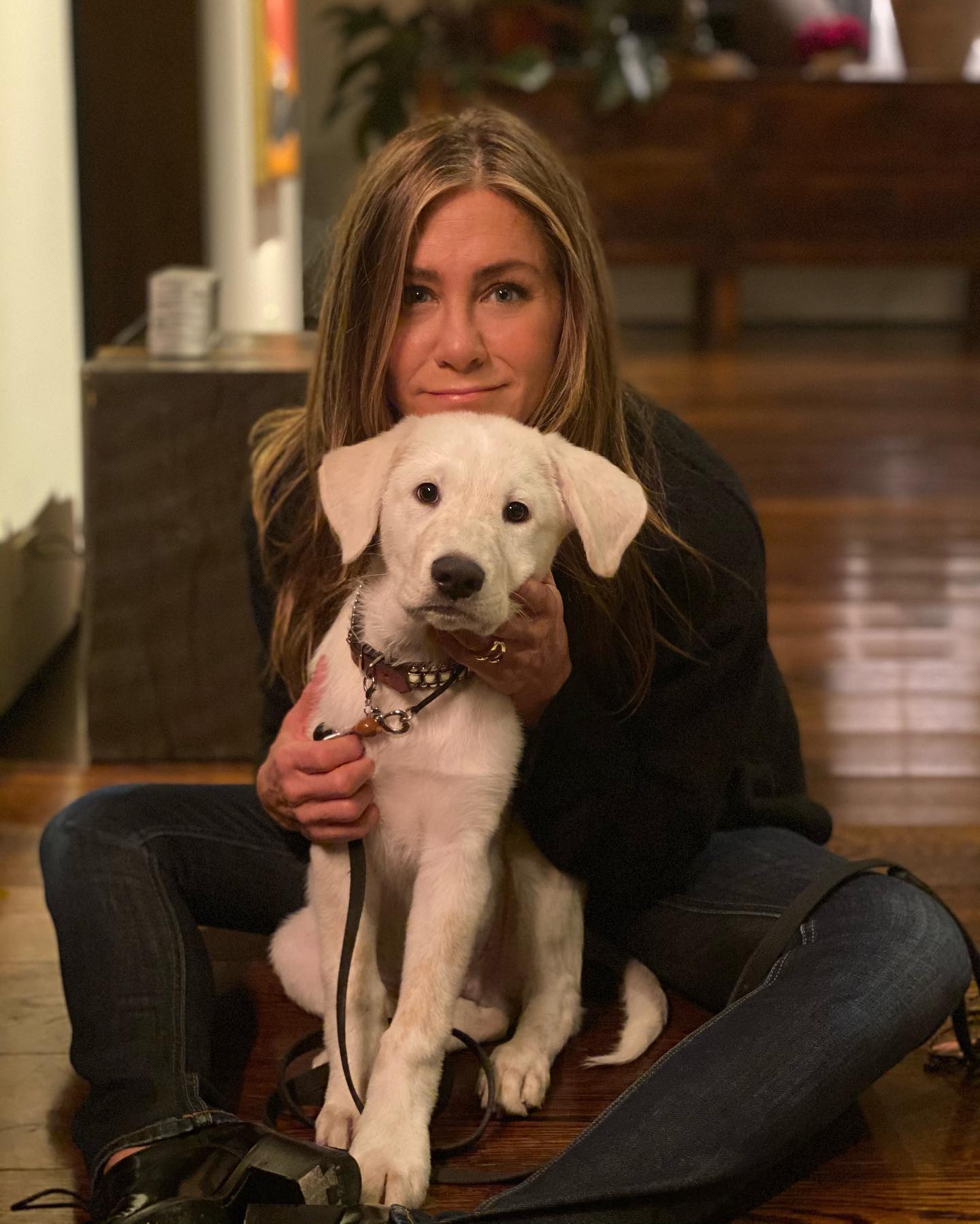 Jennifer Aniston ardent xxx sex